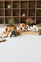 CERAMIC BULLDOG PLANTER