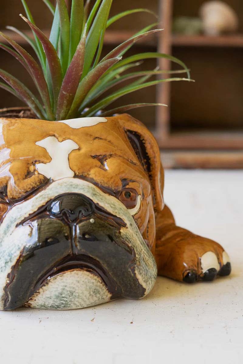 CERAMIC BULLDOG PLANTER