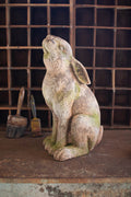 FAUX CONCRETE RABBIT - HEAD UP