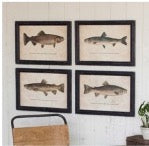 SET OF FOUR TROUT PRINTS UNDER GLASS