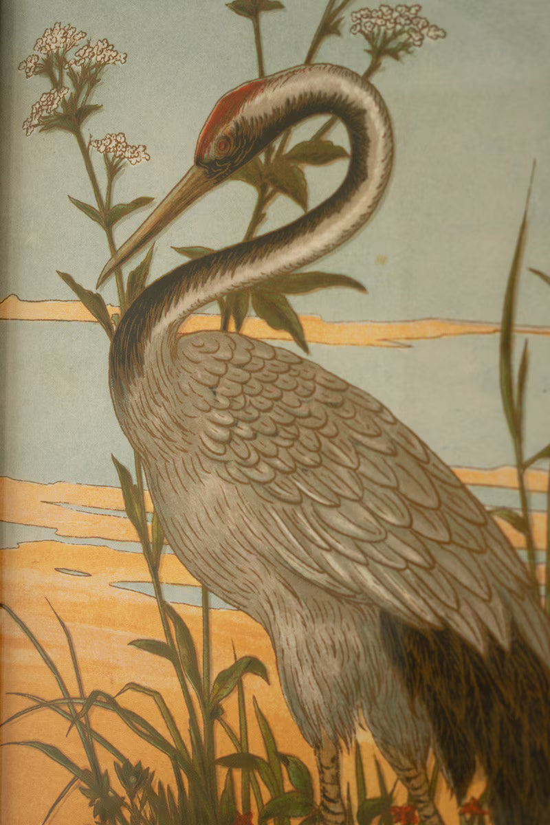 SET OF TWO FRAMED HERON PRINTS UNDER GLASS