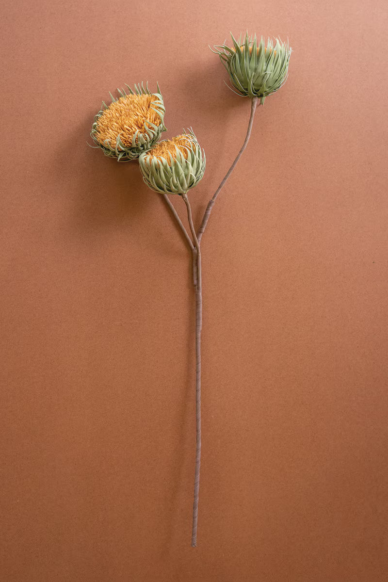 Botanica #3700