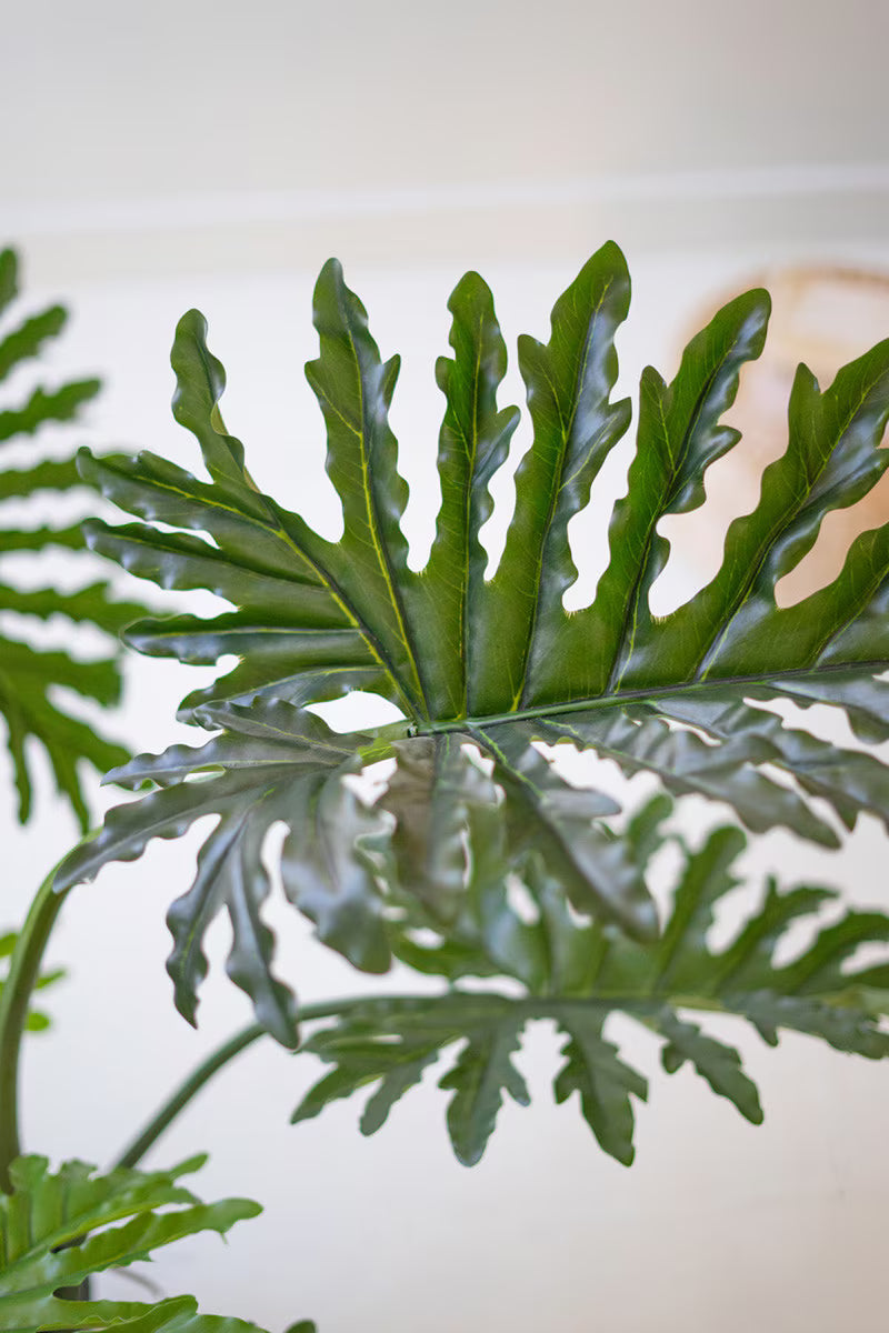 Artificial Philodendron in a Black Plastic Pot