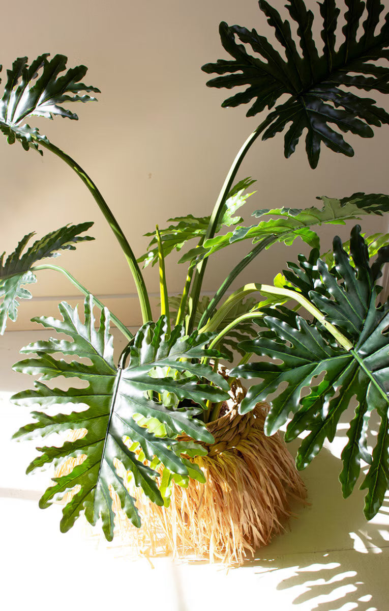 Artificial Philodendron in a Black Plastic Pot