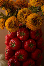 CERAMIC VASE - TOMATOES