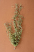 Artificial Green Moss