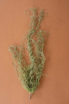 Artificial Green Moss