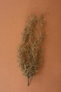 Artificial Grey Moss