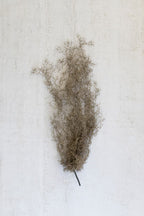 Artificial Grey Moss