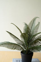 Artificial Phoenix Plant in a Black Plastic Pot