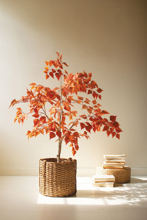 Artificial Autumn Birch Tree in a Black Plastic Pot