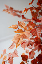 Artificial Autumn Birch Tree in a Black Plastic Pot