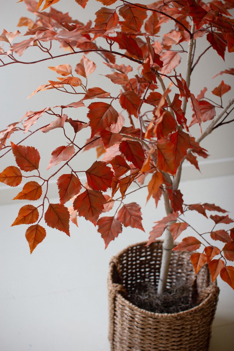 Artificial Autumn Birch Tree in a Black Plastic Pot