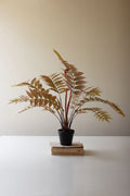 Artificial Yellow Fern in a Black Plastic Pot