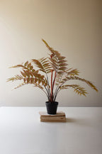 Artificial Yellow Fern in a Black Plastic Pot