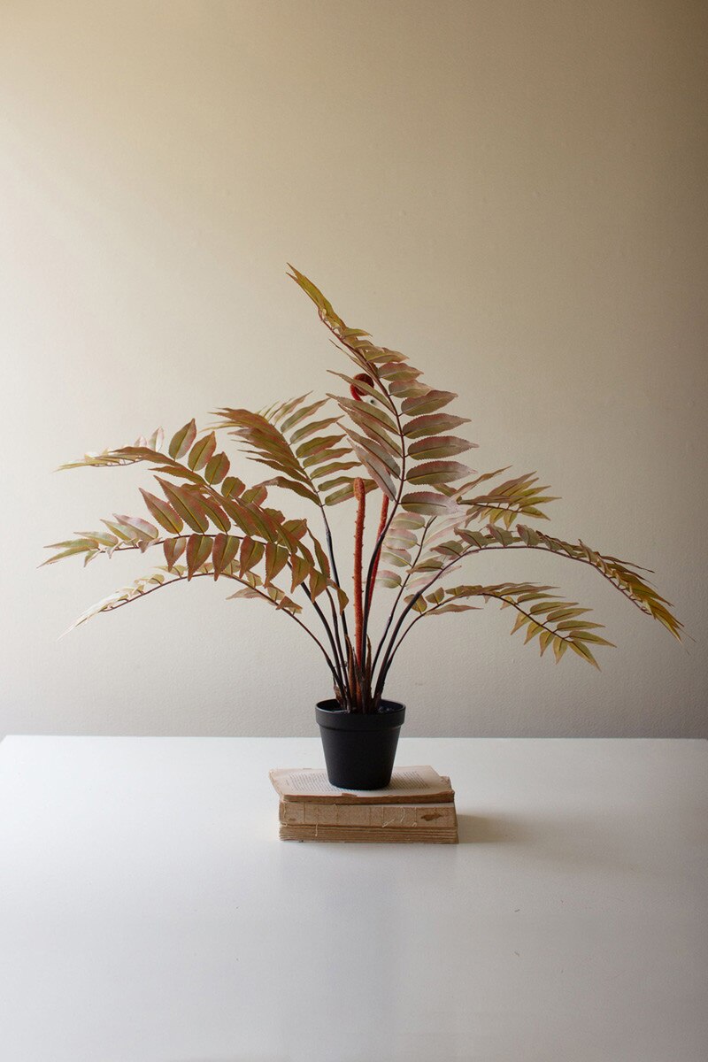 Artificial Yellow Fern in a Black Plastic Pot