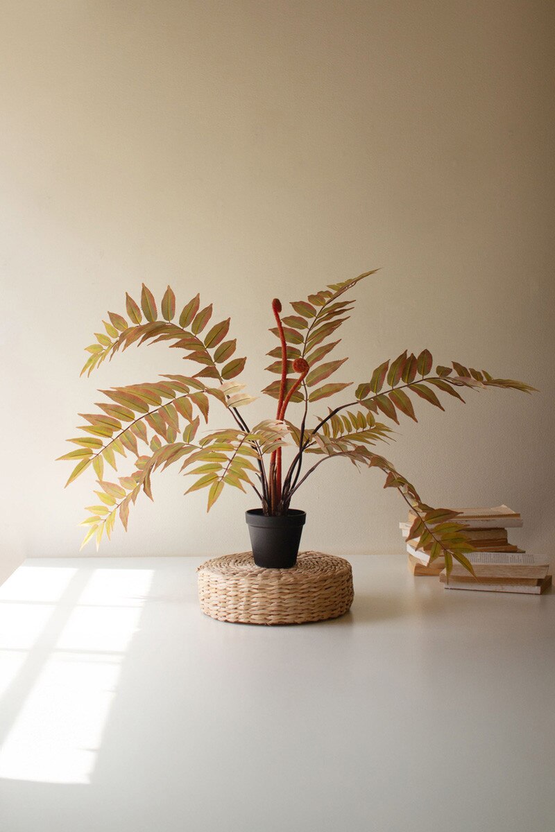 Artificial Yellow Fern in a Black Plastic Pot