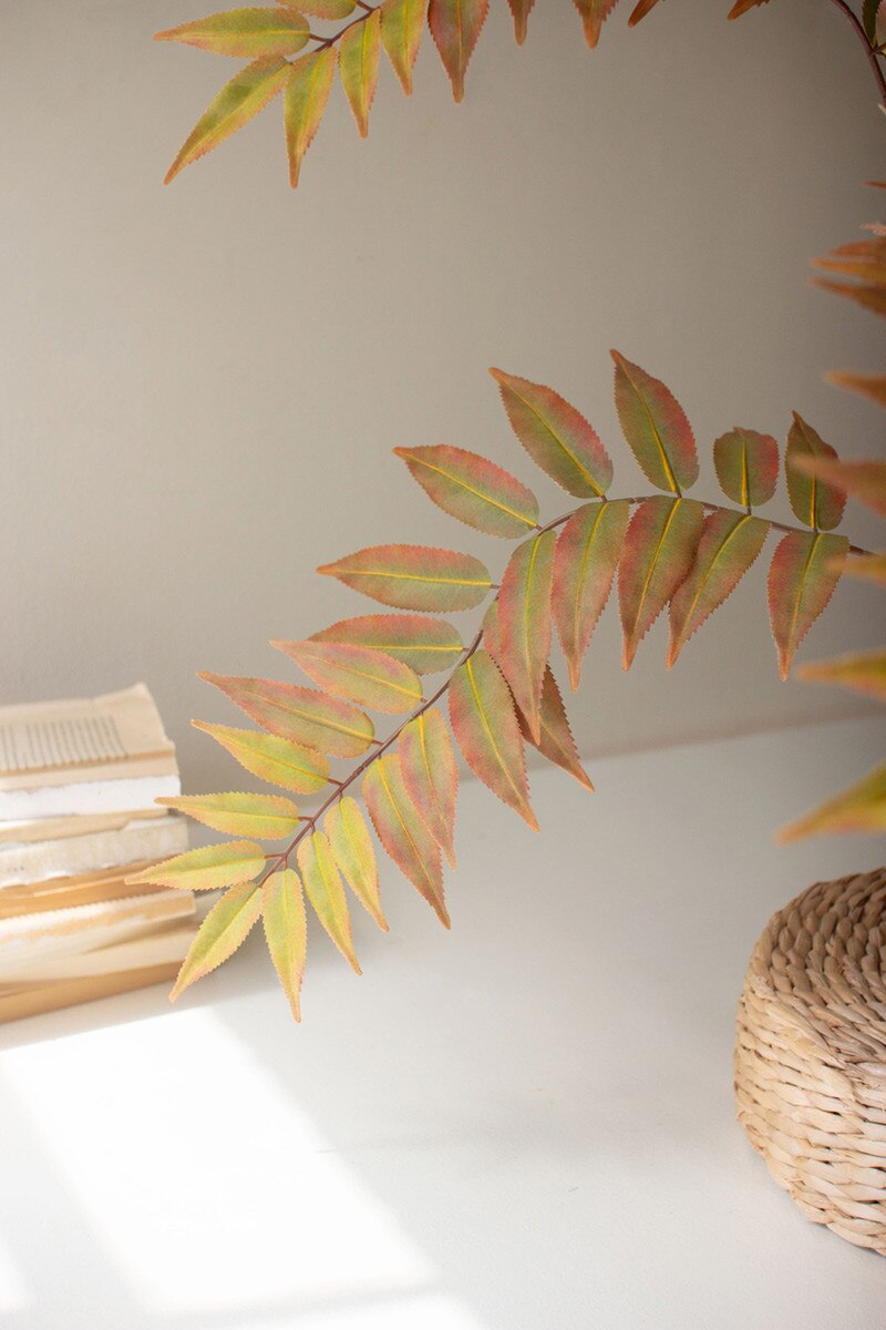 Artificial Yellow Fern in a Black Plastic Pot