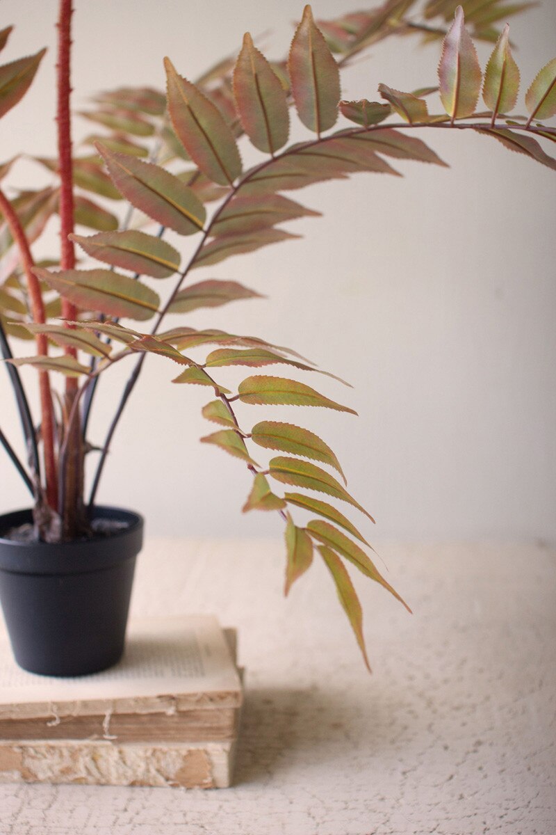 Artificial Yellow Fern in a Black Plastic Pot