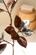 Artificial Rubber Tree with Black Plastic Pot