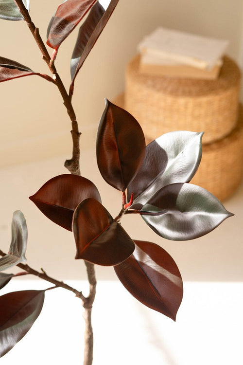 Artificial Rubber Tree with Black Plastic Pot