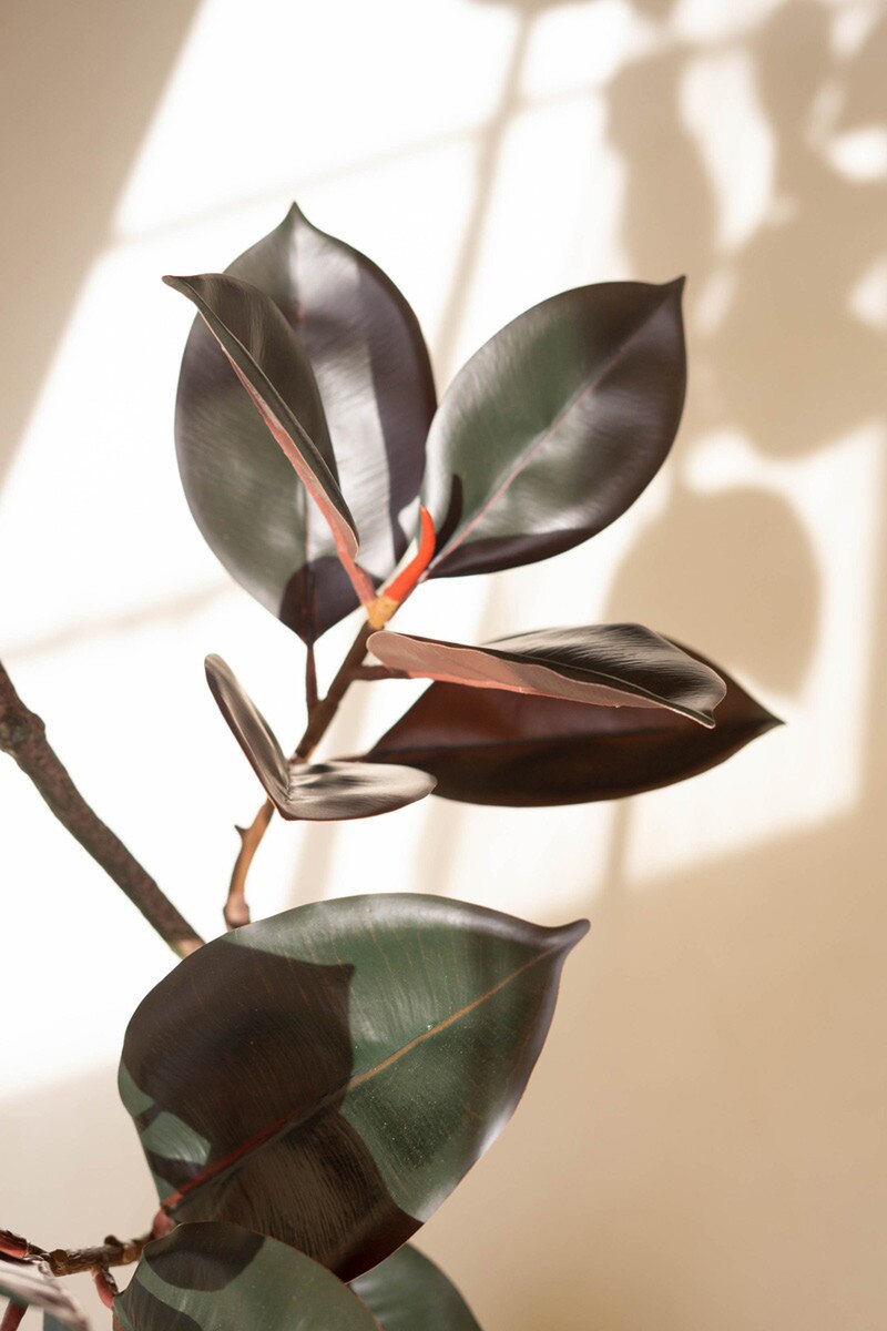 Artificial Rubber Tree with Black Plastic Pot