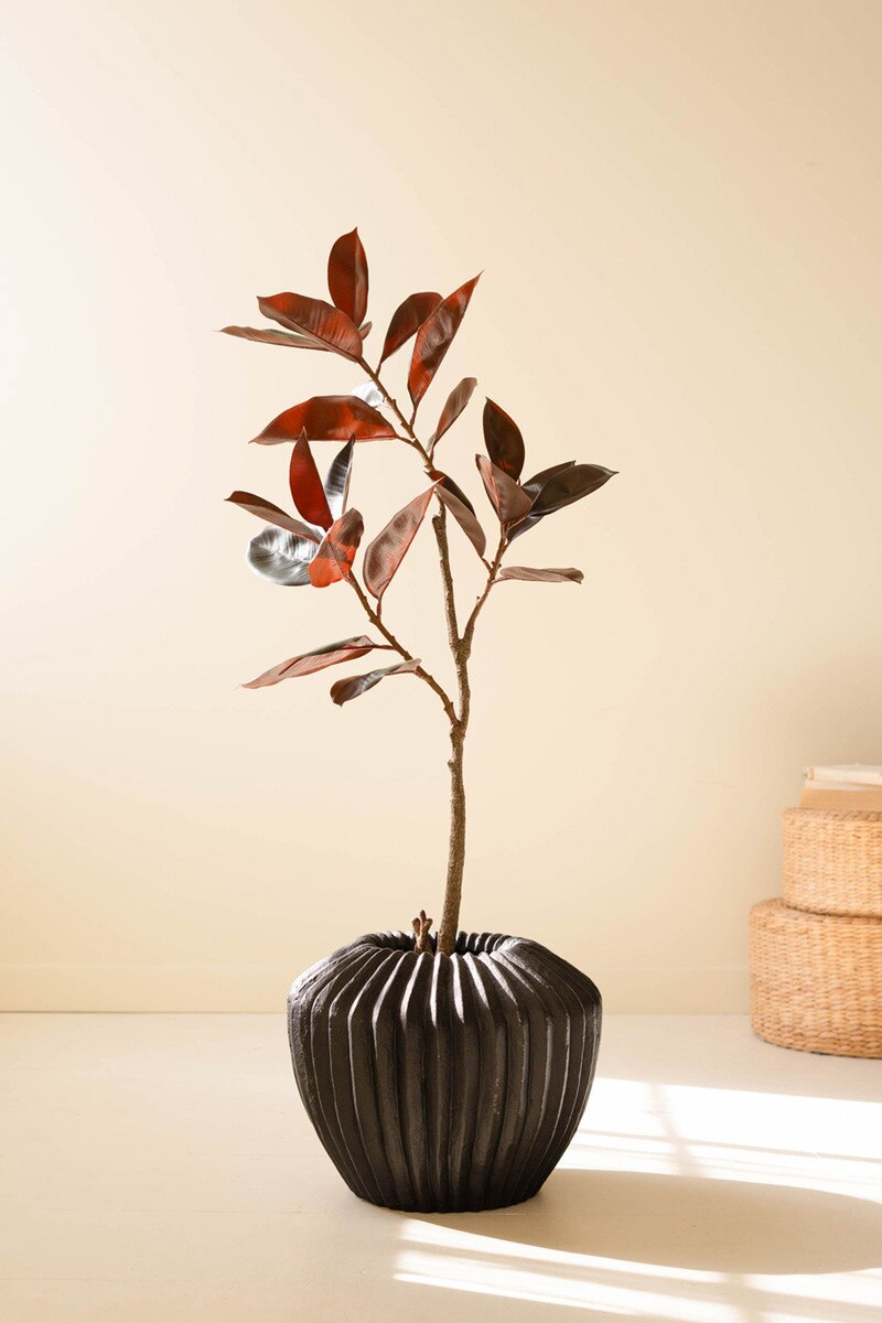 Artificial Rubber Tree with Black Plastic Pot