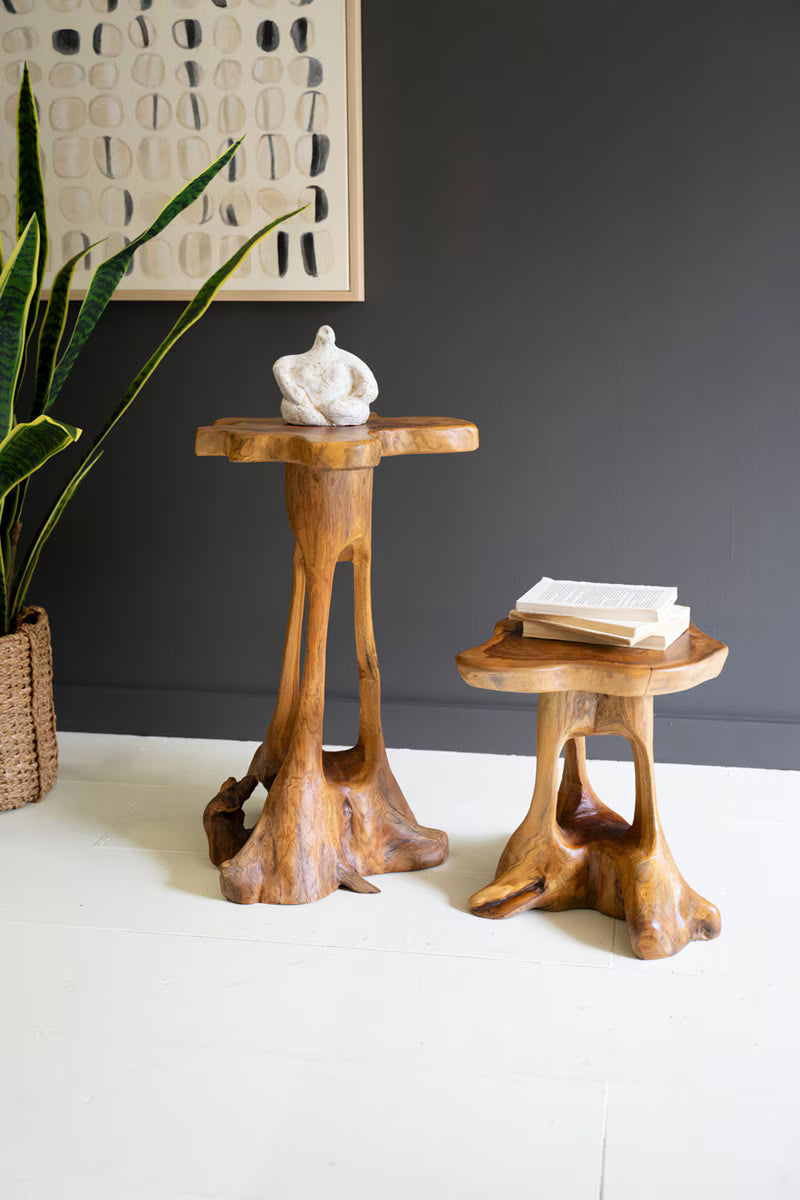 SET OF TWO ORGANIC TEAKWOOD ACCENT TABLES