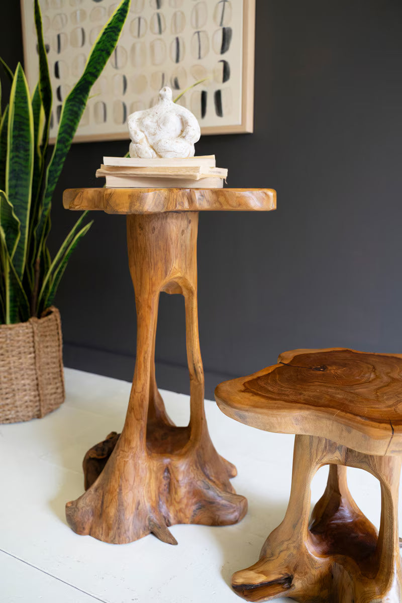 SET OF TWO ORGANIC TEAKWOOD ACCENT TABLES