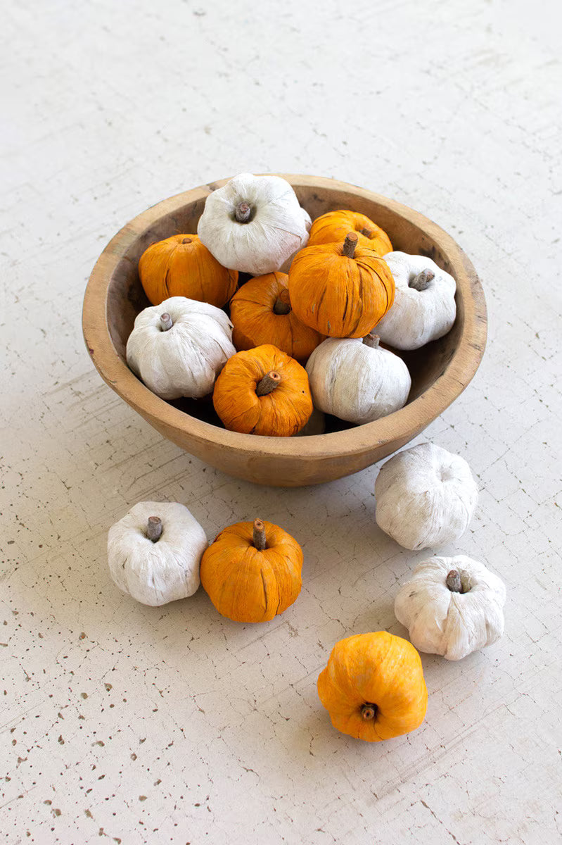 Bag of 15 Dried Miniature Faux Pumpkins / White