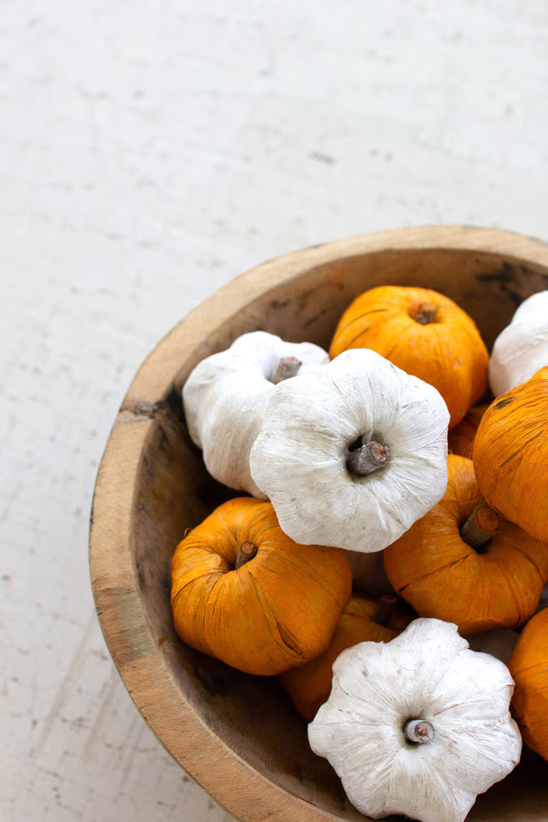 Bag of 15 Dried Miniature Faux Pumpkins / White