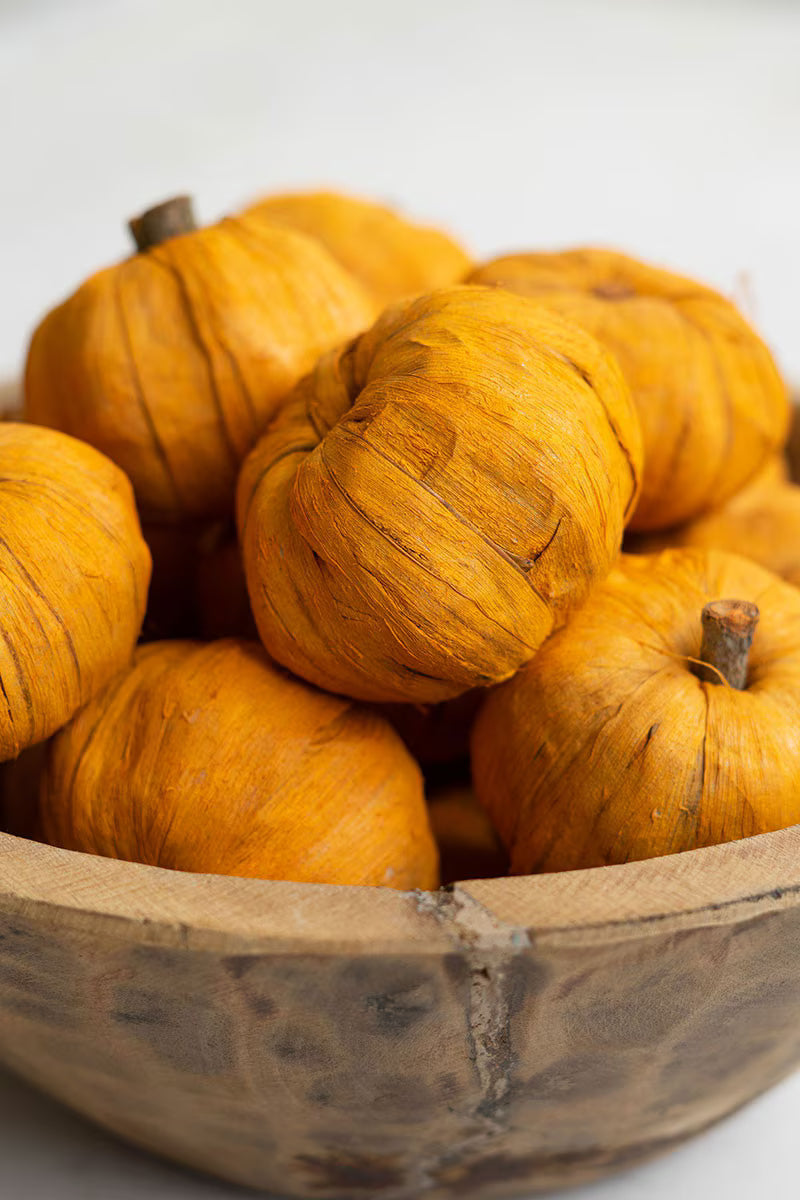 Bag of 15 Dried Miniature Faux Pumpkins - Orange