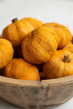 Bag of 15 Dried Miniature Faux Pumpkins - Orange
