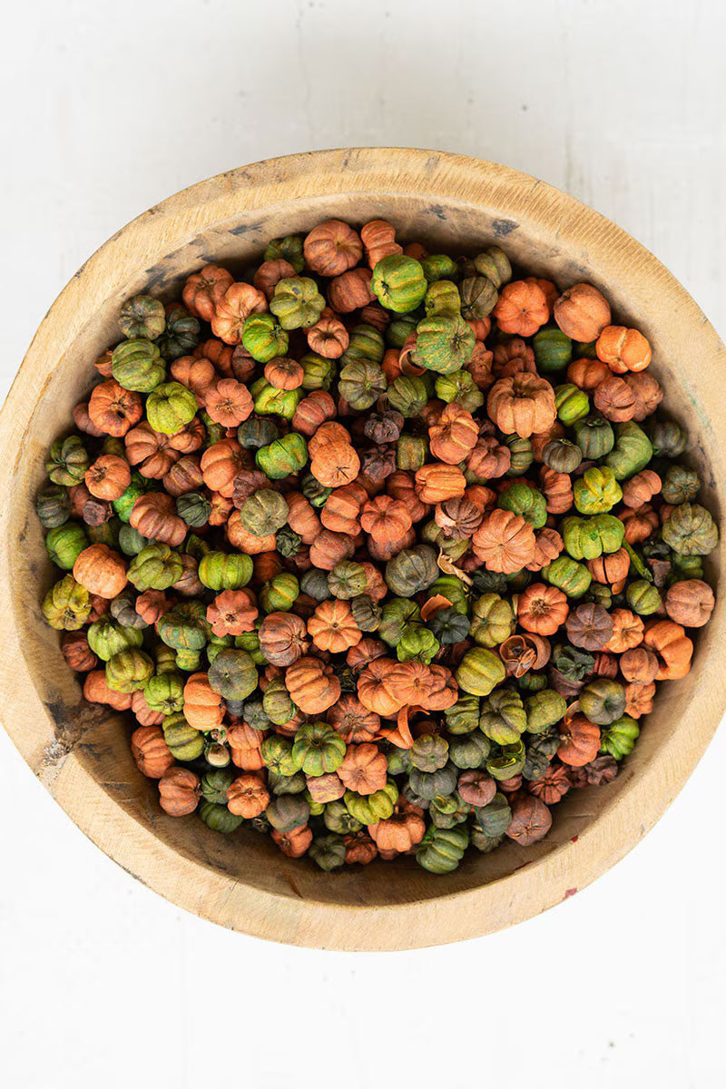 Bag of Orange and Green Putka Pods