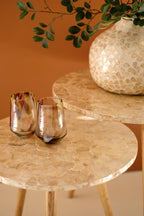 Set of 2 Wooden Accent Tables with Neutral Capiz Shell Detail